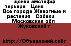 щенки амстафф терьера › Цена ­ 30 000 - Все города Животные и растения » Собаки   . Московская обл.,Жуковский г.